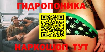 ГАЛЛЮЦИНОГЕННЫЕ ГРИБЫ Вязники