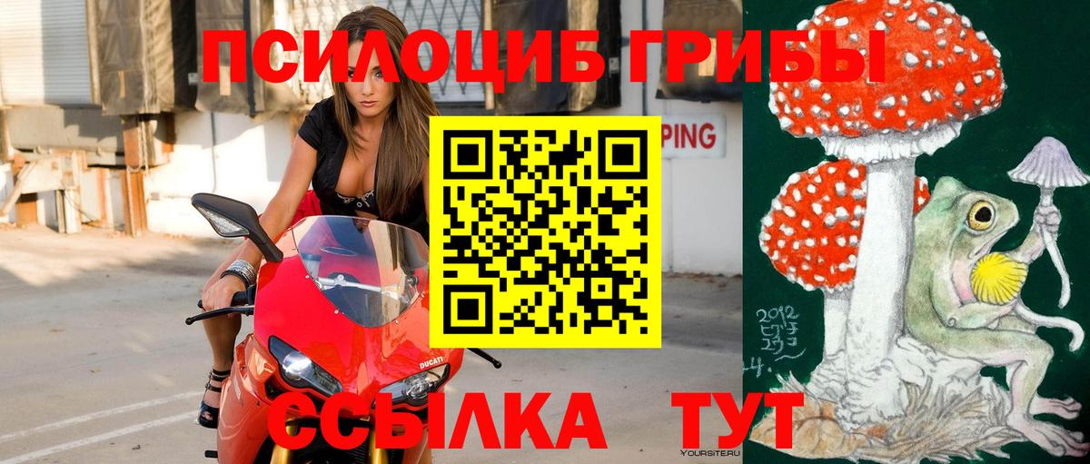 Галлюциногенные грибы прущие грибы  Вход с VPN  Саратов  Галлюциногенные грибы Magic Shrooms 